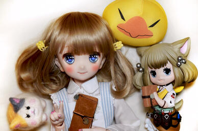 VOLKS MDD Arle (Owner's photo)